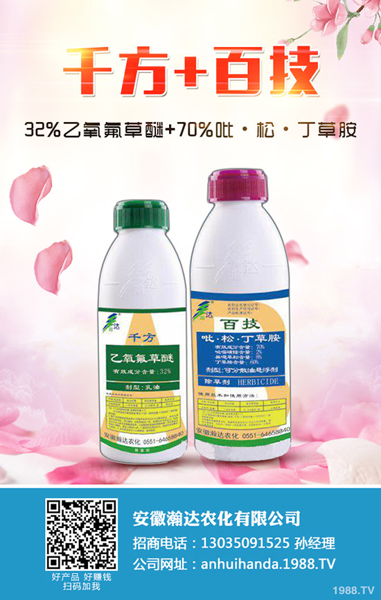 冬季馬鈴薯怎么種？冬季馬鈴薯栽培要點！