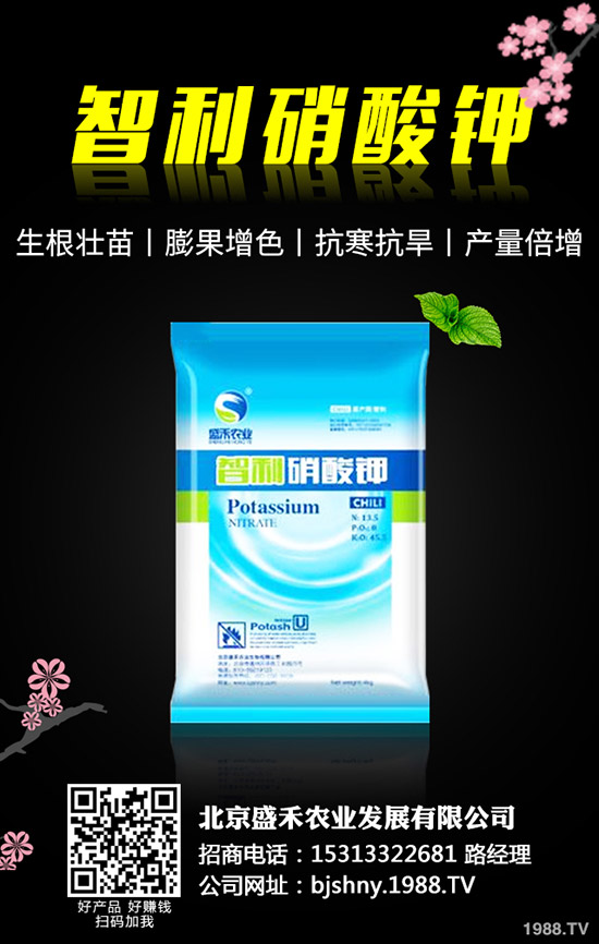 黑豆什么時(shí)候種植，黑豆的種植要點(diǎn)有哪些？