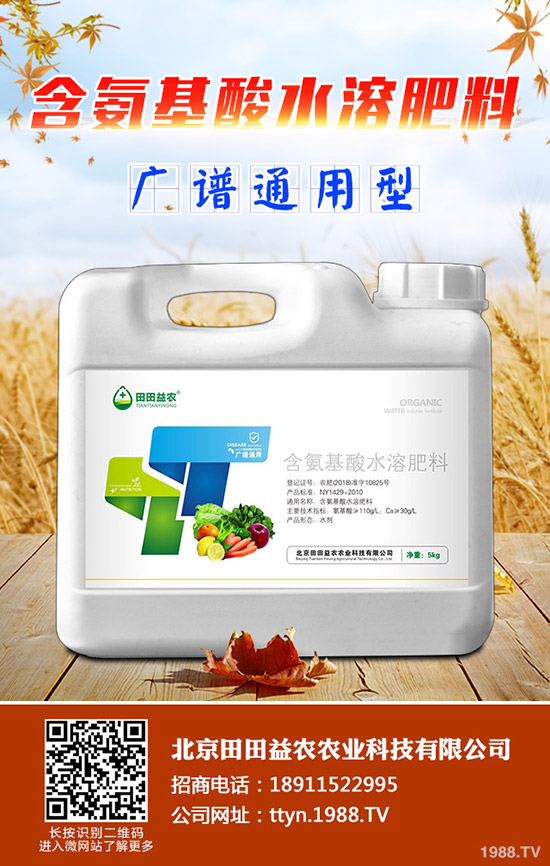 種植菠蘿蜜要注意什么，菠蘿蜜的種植注意事