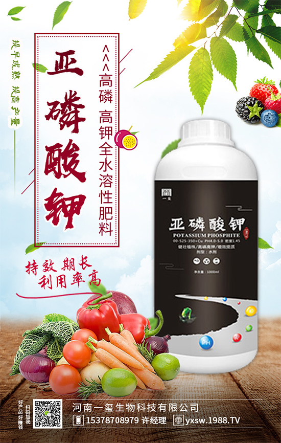 黃瓜畸形有哪幾種？黃瓜尖嘴瓜發(fā)生原因及預(yù)防措施！