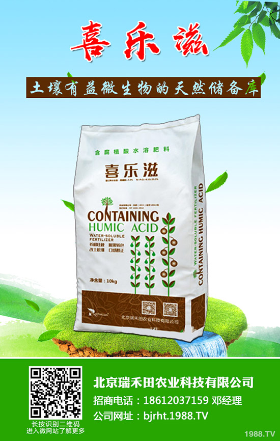 怎樣才能種好豆角呢？豆角的種植管理技巧！