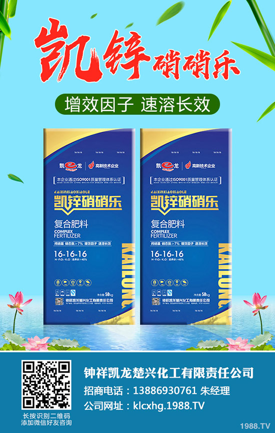 什么是有機大白菜，有機大白菜種植要點有哪些？