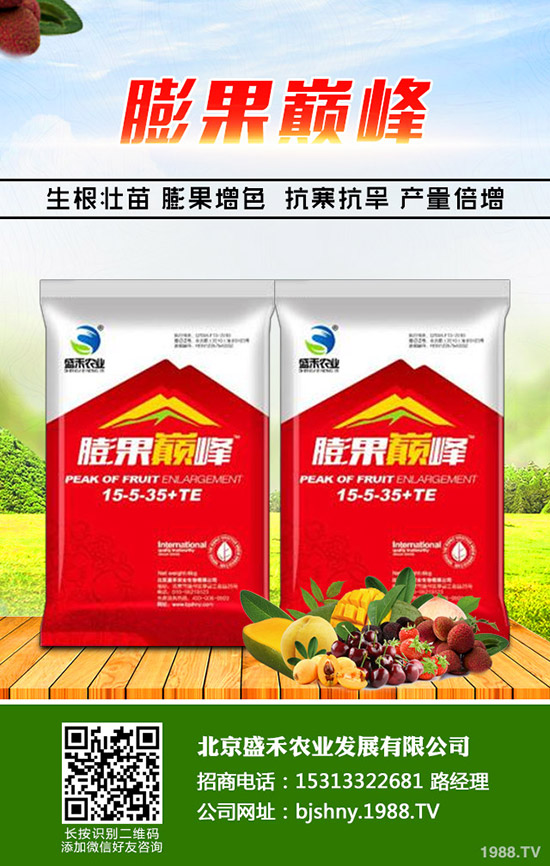 冬季大棚番茄空心果是什么原因，怎樣避免番茄空心果發(fā)生？