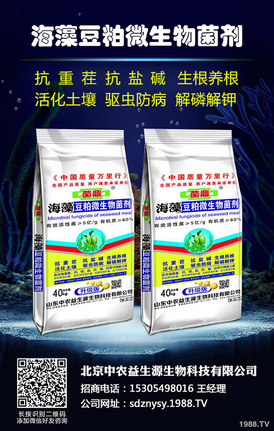 2020年水稻種植怎么樣？賺錢嗎？包多少畝合適？一畝種植成本多少？