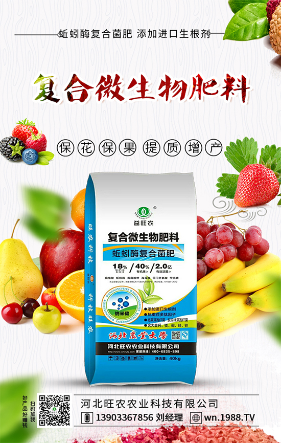 番茄卷葉發(fā)生原因,番茄卷葉防控措施!