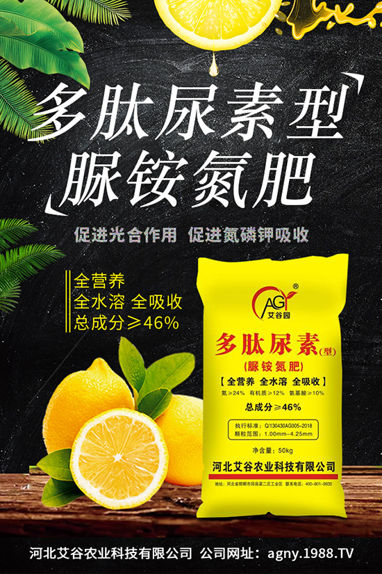 山藥種植時間，山藥種植技術與栽培管理