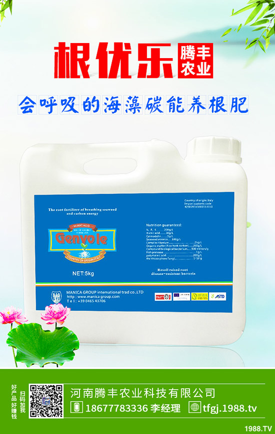 石榴褐斑病導(dǎo)致發(fā)黃落葉怎么辦？石榴褐斑病的防治要點(diǎn)！