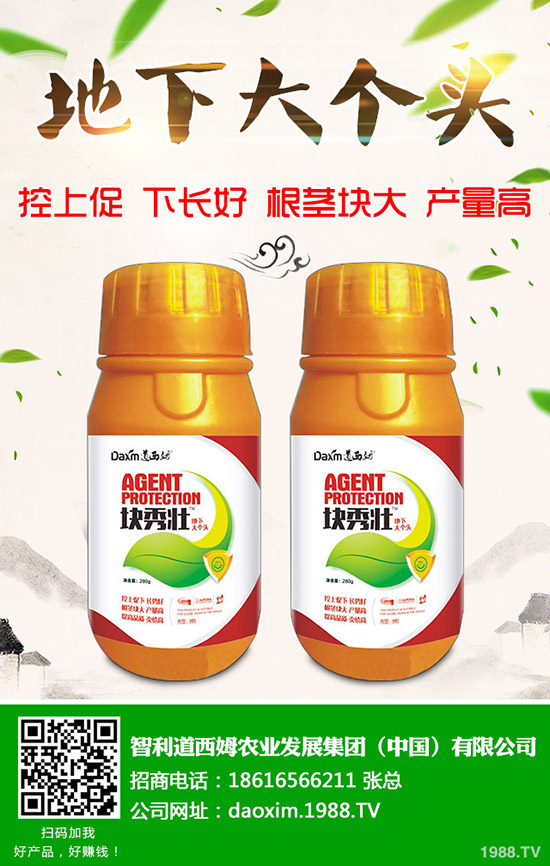 蘿卜得了炭疽病怎么辦？蘿卜炭疽病癥狀和防治方法！