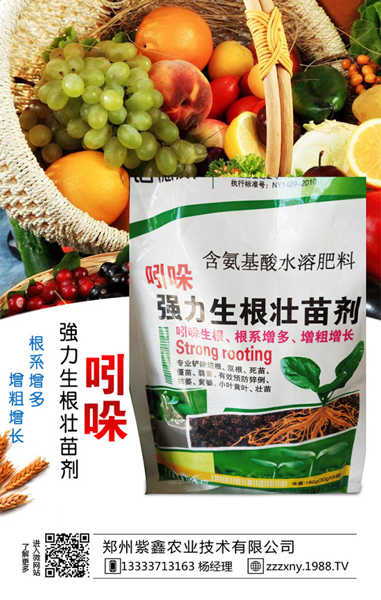 春芝麻種植時(shí)間是什么時(shí)候嗎？春芝麻種植管理技術(shù)！