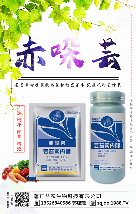 西紅柿為什么不膨果？西紅柿不膨果的防治方法