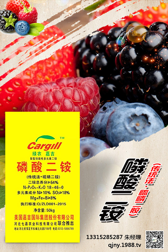 小茴香什么季節(jié)播種？有哪些種植技巧？