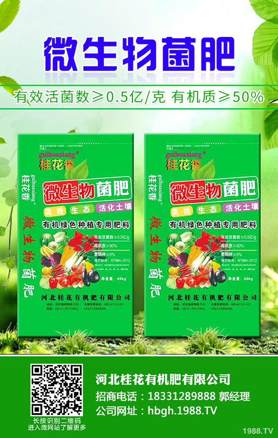 檳榔芋種植技術(shù)有哪些，檳榔芋的病蟲害防治