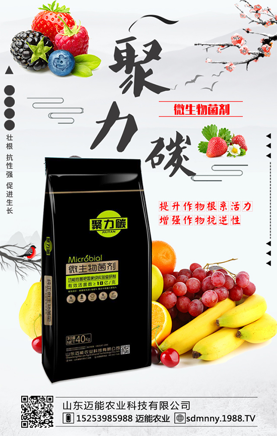 柿子各部位的營(yíng)養(yǎng)價(jià)值，柿子保鮮的方法有哪些？