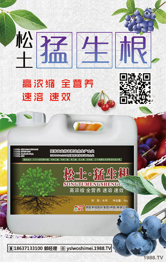 柿子有哪些功效和作用？柿子的食用禁忌！