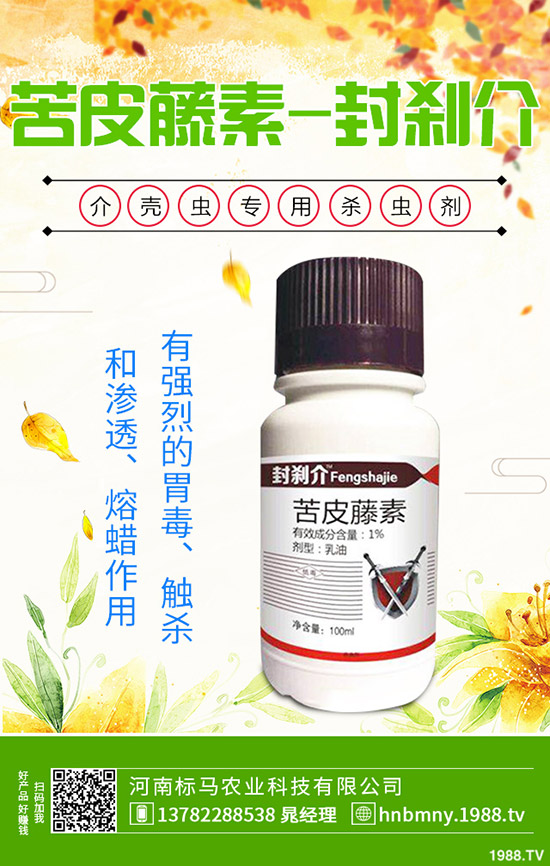 南方水稻什么時候播種，水稻播種育苗要點，快來看看