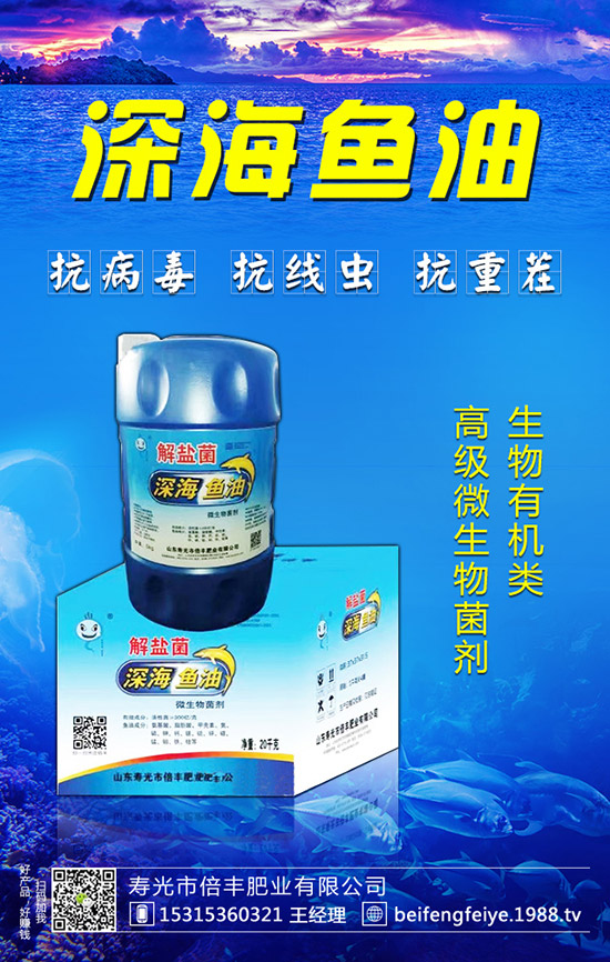 黑枸杞的種植方法，黑枸杞的種植前景