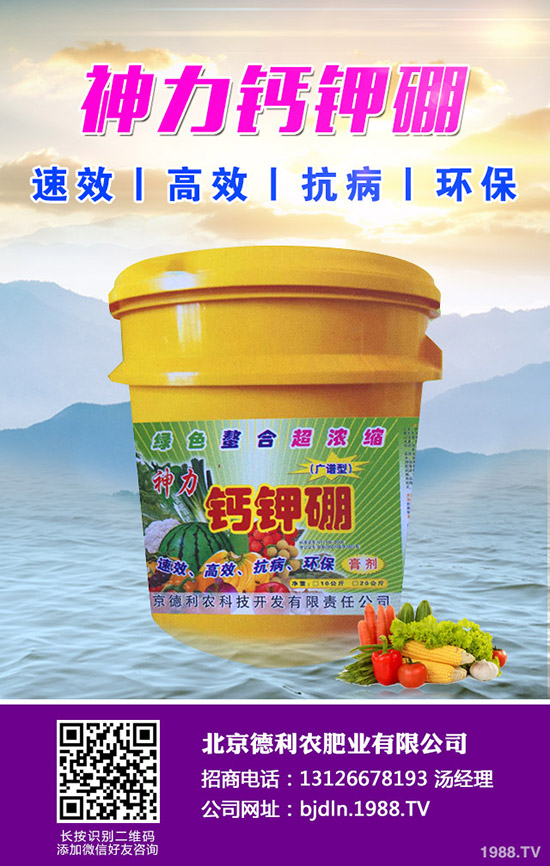 平菇栽培什么環(huán)境好 ，平菇栽培環(huán)境要求及技巧