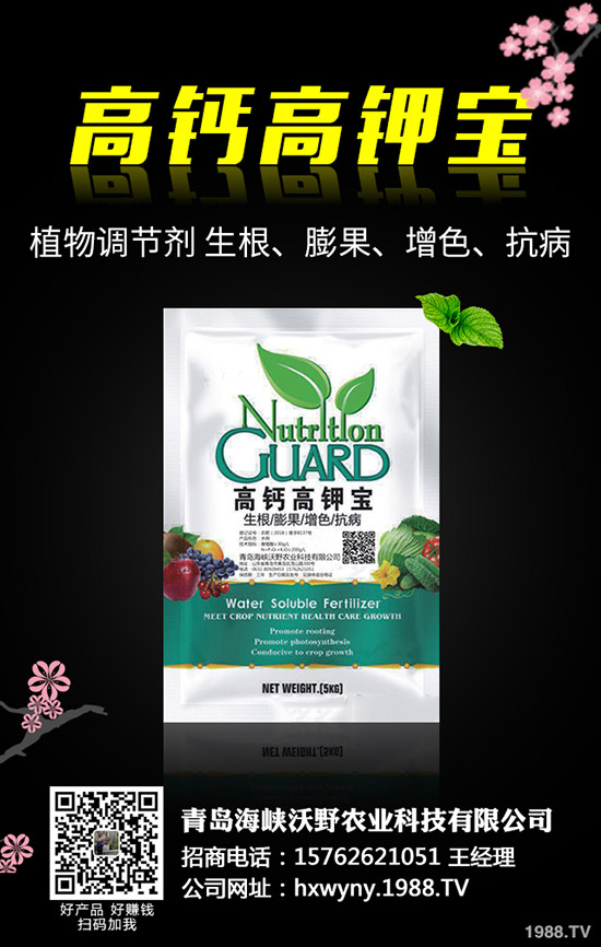 油葵種植前需要準(zhǔn)備哪些工作，油葵種植技巧有哪些？