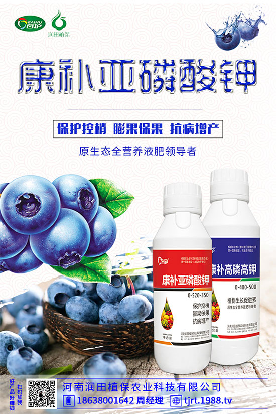 朝天椒什么播種?朝天椒的種植方法及病蟲害防治