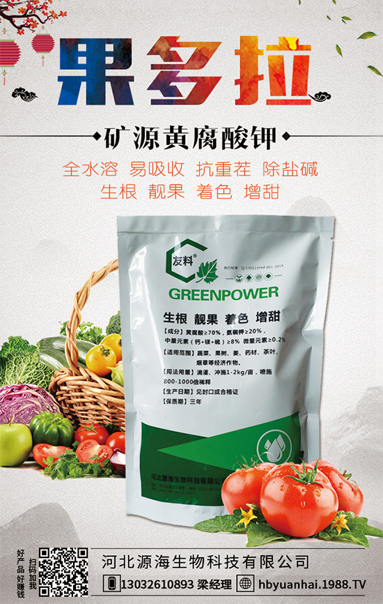 大蒜今日價格多少錢一斤？2020年大蒜種植前景如何？