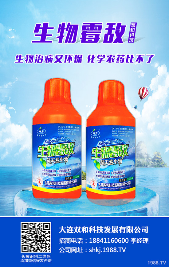 平菇種植其實不難，注意這幾點，產量會很高！