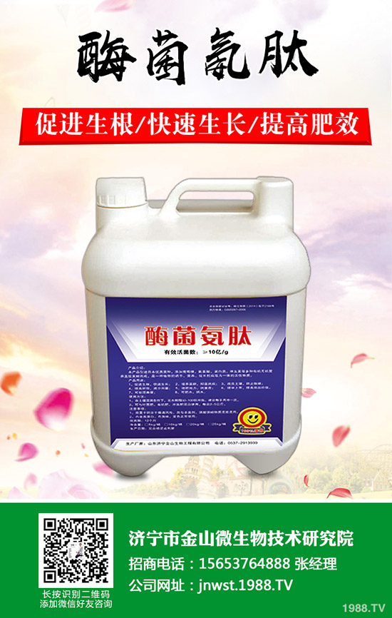 李子樹怎么修剪?李子樹的修剪方法有哪些呢?