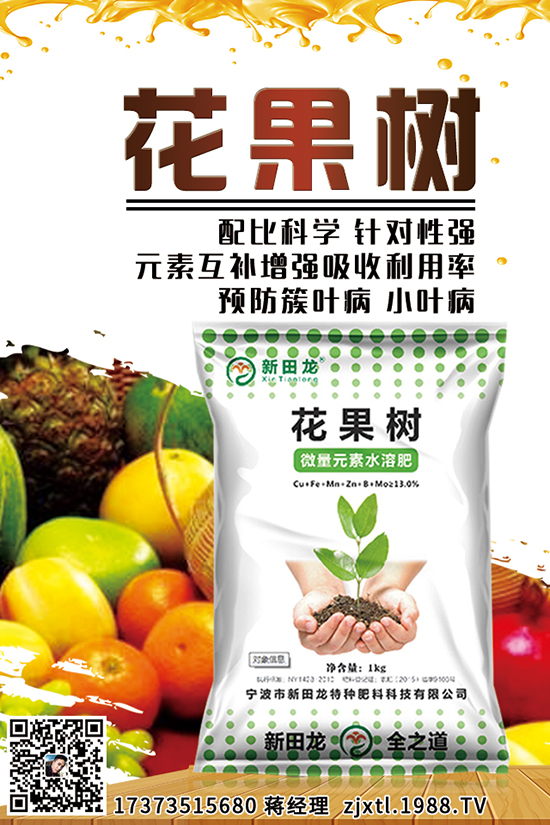 胡蘿卜育苗時間 胡蘿卜育苗技術(shù)要點