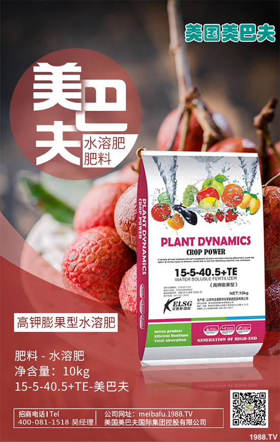 芽苗菜種植前景如何？芽苗菜的種植方法！