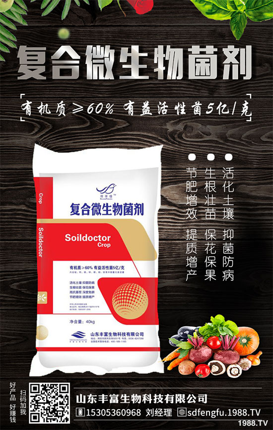 鳳梨是哪里的特產(chǎn)？2020年種植前景如何？