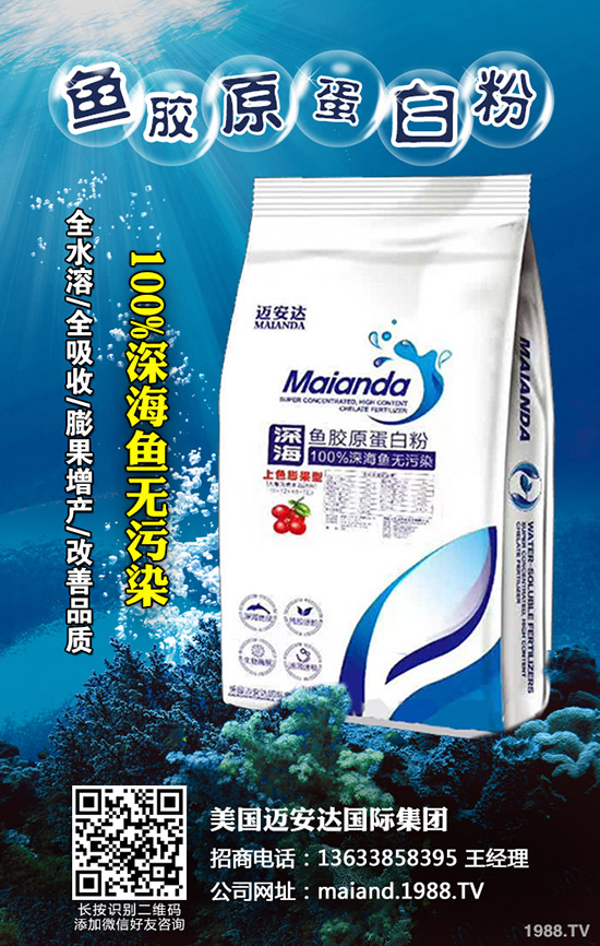 2020年柑橘苗價格多少錢一棵?柑橘種植前景怎么樣?賺錢么?