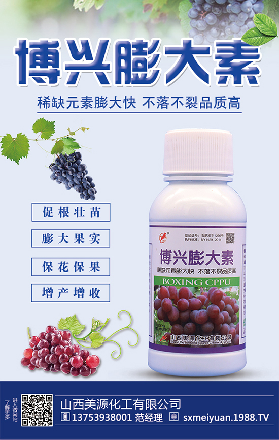 葡萄冬灌時間 葡萄冬灌方法