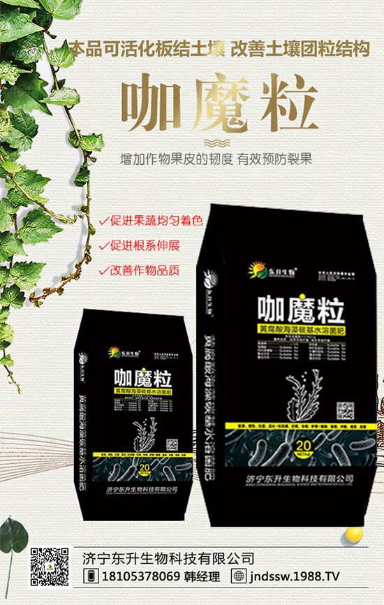 黑玉米價(jià)格多少錢一斤？2020年種植前景及效益分析！