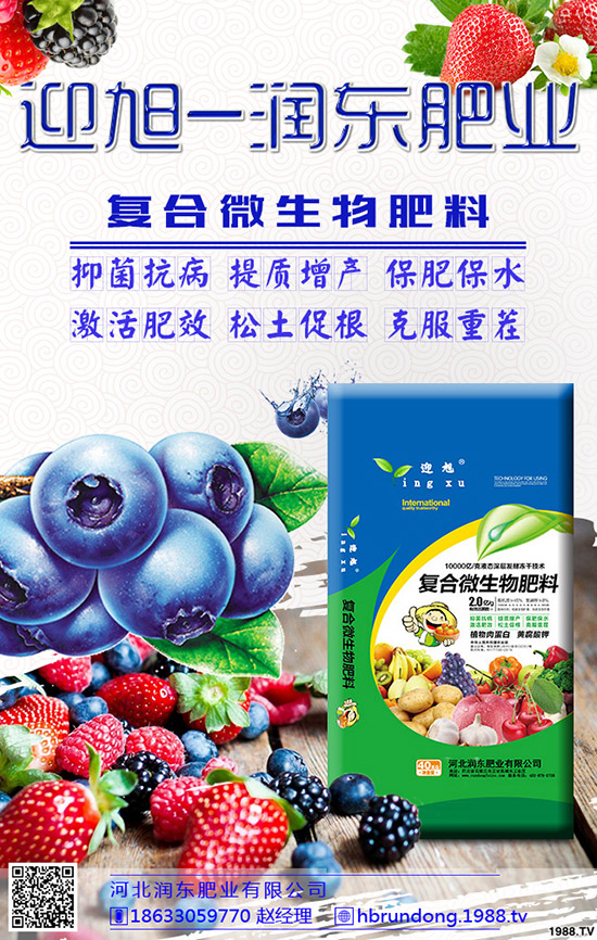 芒果旺長怎么辦？農(nóng)戶們?nèi)绾螒獙γ⒐L？