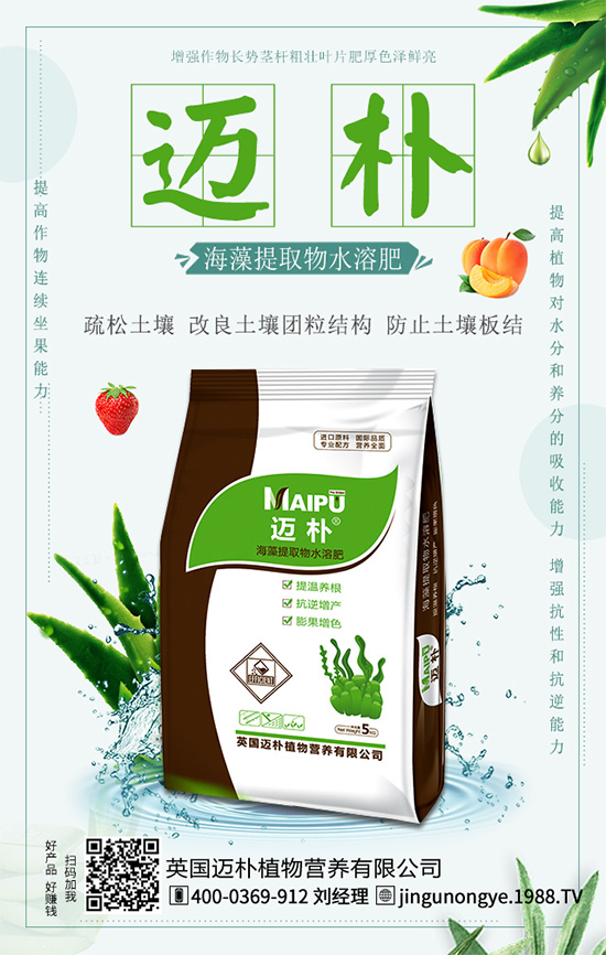 吃柑橘有什么好處？柑橘的營養(yǎng)價值！