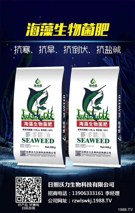 荊芥什么時(shí)候種植？荊芥種植時(shí)間及種植方法