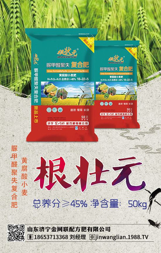 荊芥常見(jiàn)病害有哪些?該如何防治?荊芥常見(jiàn)病害的發(fā)生與防治技巧