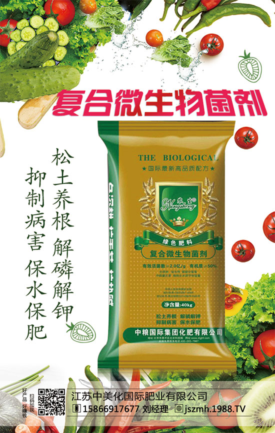     蘆筍市場價多少錢一斤？2020年蘆筍種植前景怎么樣？種植效益分析！