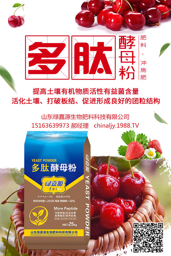 荊芥該如何種植？荊芥的種植環(huán)境要求