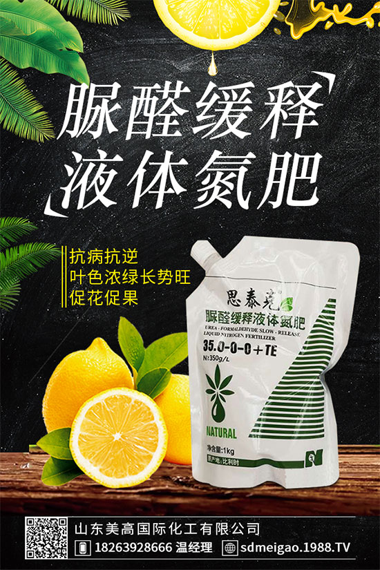 荊芥的功效作用有哪些？什么人不能吃荊芥？