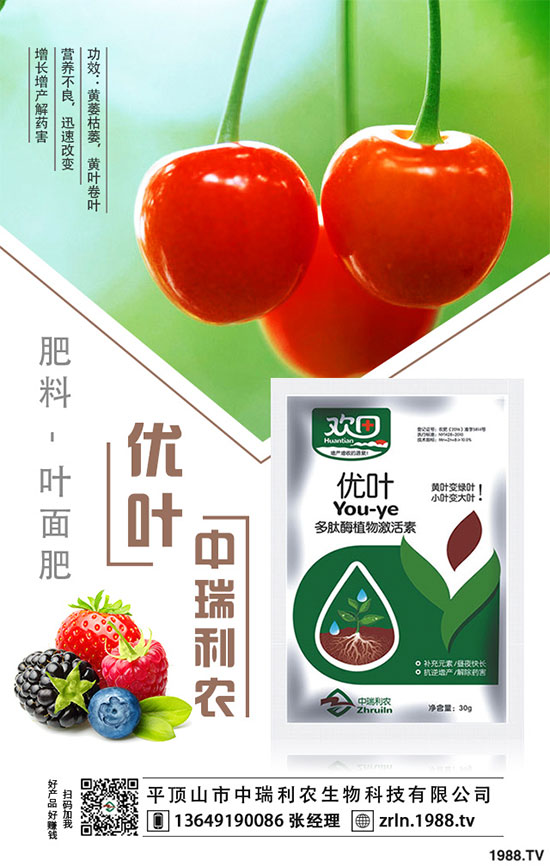 ���(sh��)�������༼�g(sh��)�����(sh��)���ķNֲע�����(xi��ng)��