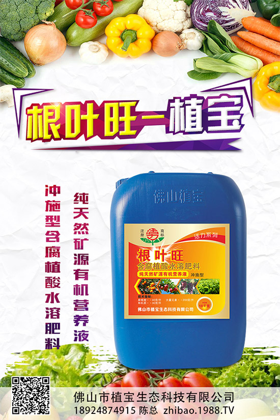     柚子有許多品種，各有各的風(fēng)味。但眼尖的人會發(fā)現(xiàn)，市面上賣的紅肉蜜柚比普通蜜柚要貴上許多。同樣是柚子，外表看起來也差不多，紅肉蜜柚憑什么比白肉柚子貴？