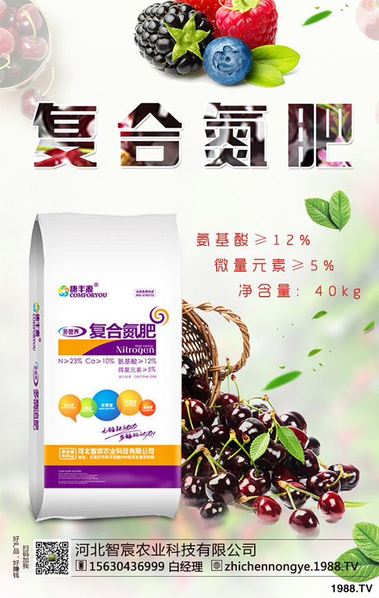 綠花菜該怎么種？綠花菜的高產(chǎn)種植技術(shù)