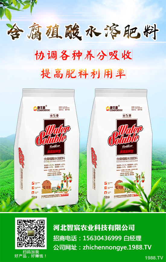 綠花菜該怎么種？綠花菜的高產(chǎn)種植技術(shù)