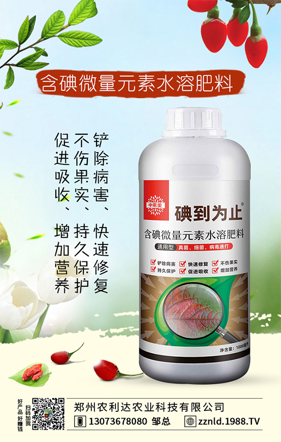 �t�}����ι��������S��������ƌW(xu��)�����҂�֪������