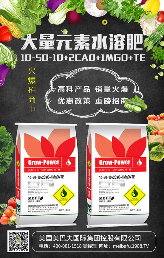     2019���������@��������r��C�Ϸ��������