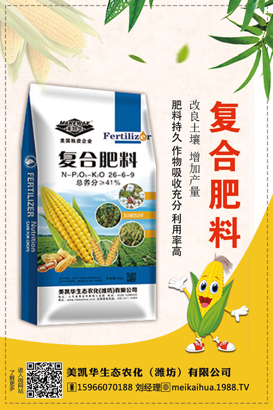     2019�������һ�@��������r��C�Ϸ�����棡