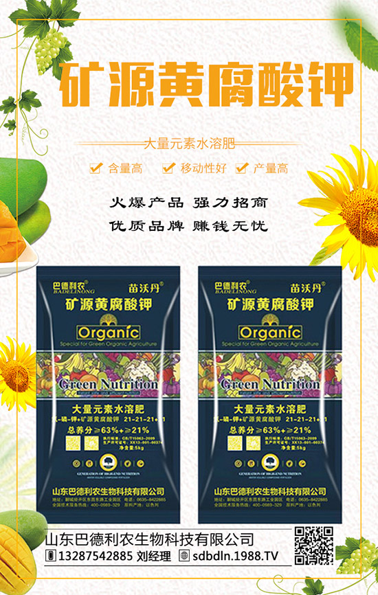     ��(f��)�Ϸ�����q�����F(xi��n)��2019��12��ĩ���r(ji��)���߄��A(y��)�y��