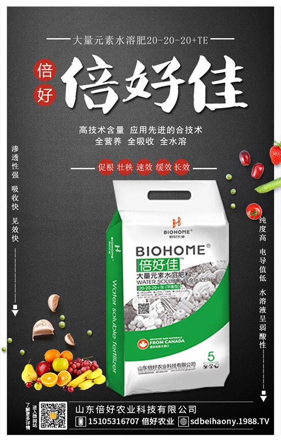 2019葡萄價(jià)格低的原因!2020年葡萄種植賺錢么?種植前景及成本分析!