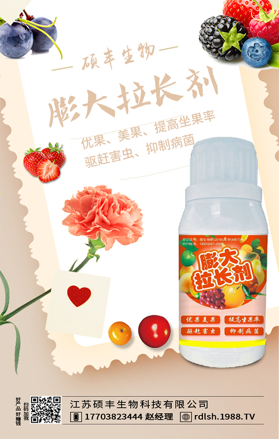 大棚西芹怎么種植?西芹的種植環(huán)境要求!
