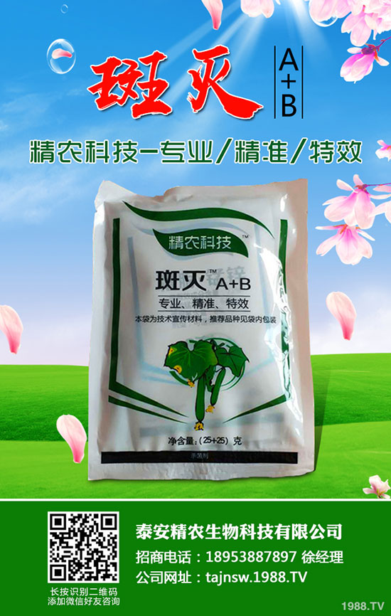 吃蠶豆對(duì)人體有哪些好處，蠶豆的功效與營(yíng)養(yǎng)價(jià)值！